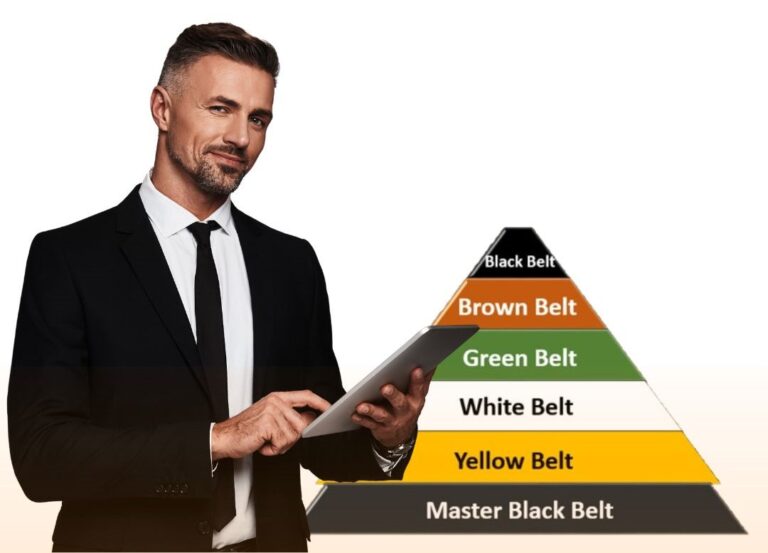 Different levels in Six Sigma certification